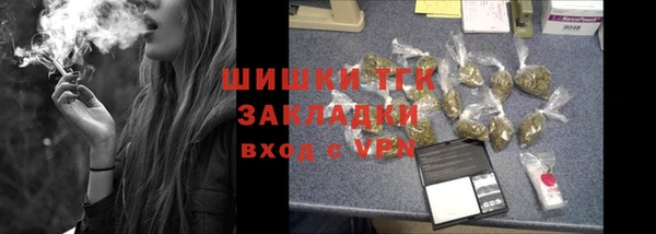сатива Костерёво
