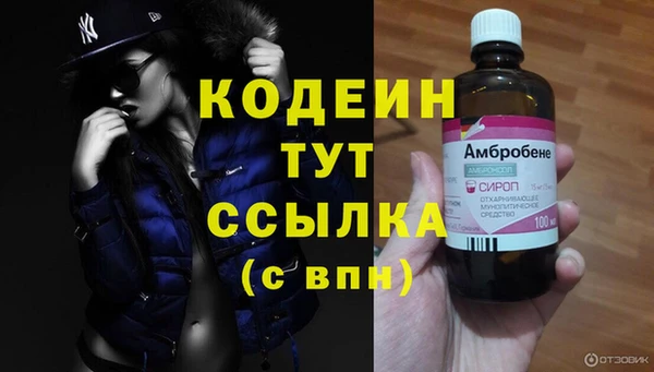 сатива Костерёво