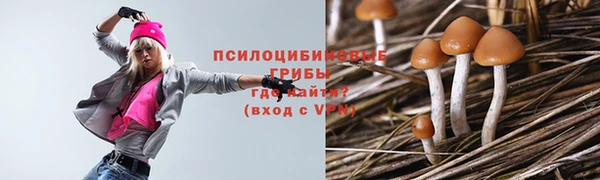 скорость Корсаков