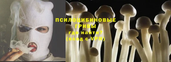 сатива Костерёво