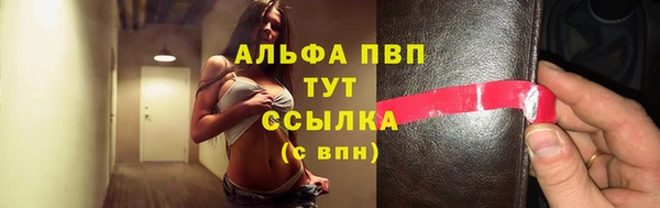 сатива Костерёво