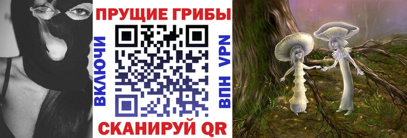 Галлюциногенные грибы прущие грибы  Медвежьегорск 